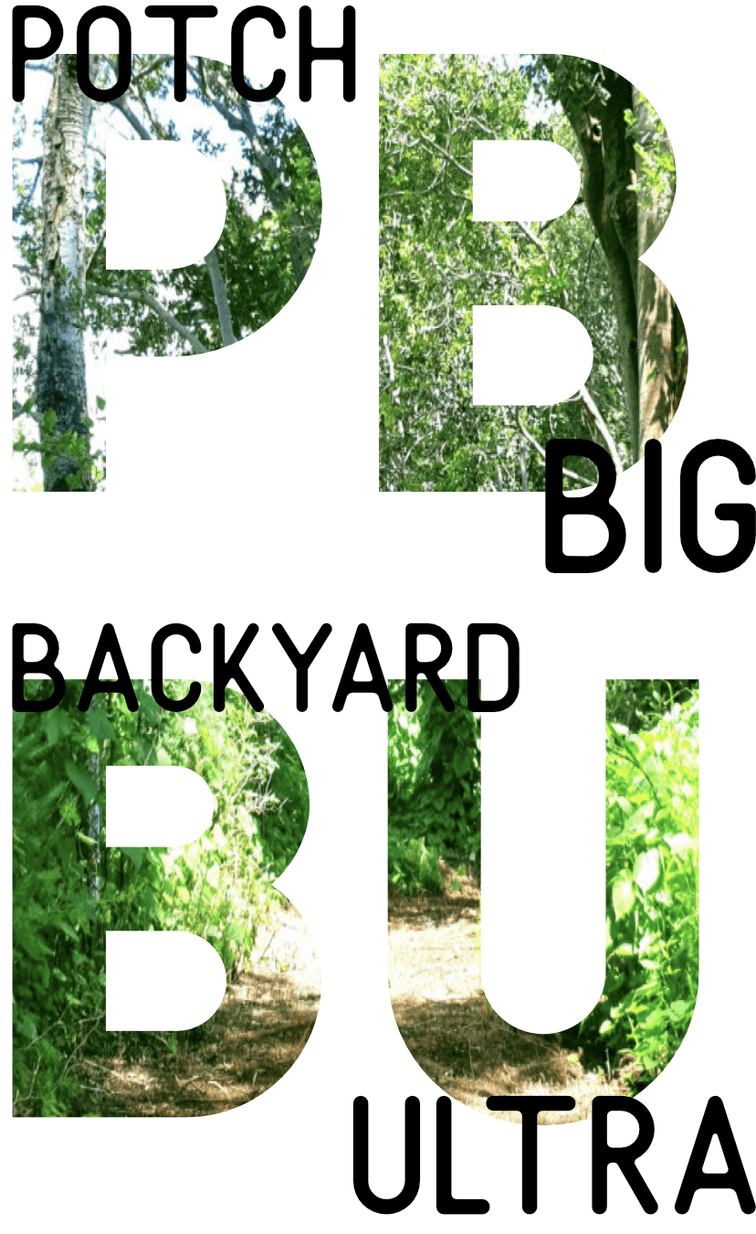 Potch Big Backyard Ultra Backyard Ultra